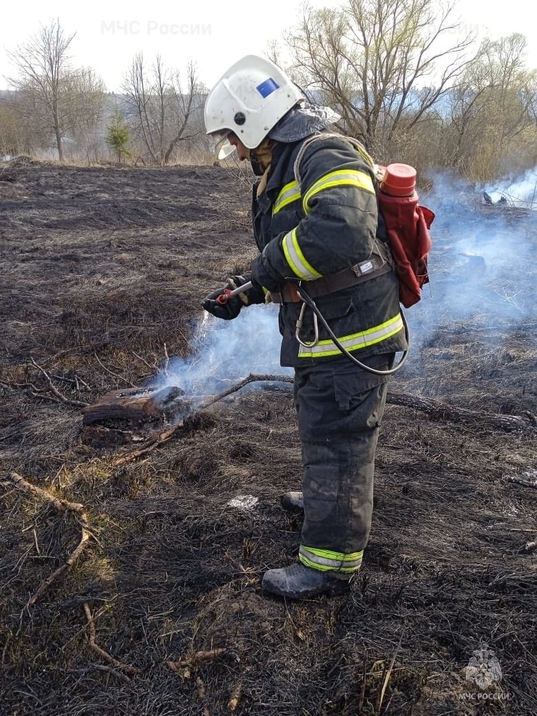 Пожар в Ульяновском районе, д. Сорокино